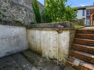 Picture 8